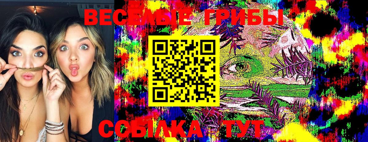 Псилоцибиновые грибы Psilocybe Волоколамск