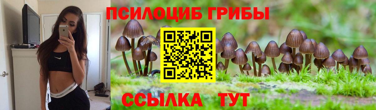 Волоколамск  Псилоцибиновые грибы Cubensis  Псилоцибиновые грибы ЛСД  Вход с VPN 